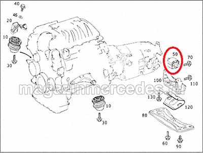     Mercedes SLK class R171 (,  3)