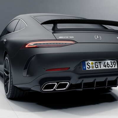     AMG Aerodynamics Flics,    AMG GT X290 (,     AMG Aerodynamics Flics,    AMG GT X290 A2908852102+A2908852202)