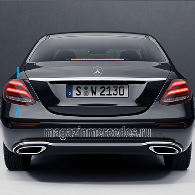      Mercedes E class W213 (,      Mercedes E class W213
A2139067700)