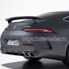       AMG GT 4- X290  Mercedes-Benz
A2909060200