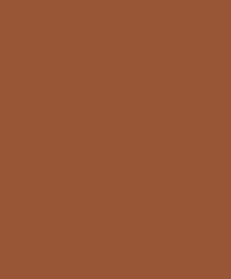    990 Cocoa Brown ()