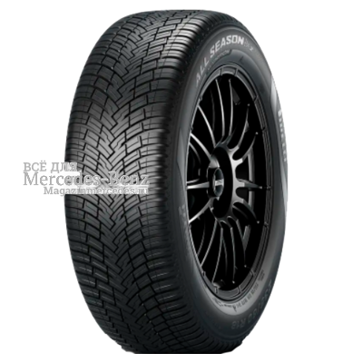 255/55R19 111W XL Scorpion All Season SF2 TL