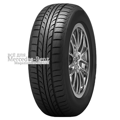 175/65R14 86T Zodiak 2 PS-7 TL