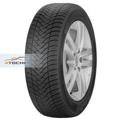 205/55R17 95V XL SeasonX TA01 TL