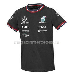   AMG Petronas Formula 1